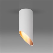 Elektrostandard DLN114 GU10 / Светильник накладной белый/золото a050119