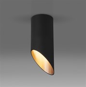 Elektrostandard DLN114 GU10 / Светильник накладной черный/золото a050120