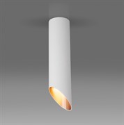 Elektrostandard DLN115 GU10 / Светильник накладной белый/золото a050121