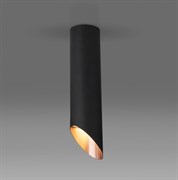 Elektrostandard DLN115 GU10 / Светильник накладной черный/золото a050122