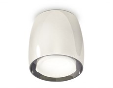 Ambrella Комплект накладного светильника с акрилом XS1143020 PSL/FR серебро полированное/белы матовый MR16 GU5.3 (C1143, N7165) XS1143020 Ambrella Комплект накладного светильника с акрилом XS1143020 PSL/FR серебро полированное/белы матовый MR16 GU5.3 (C1143, N7165) XS1143020