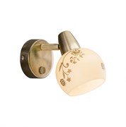 Citilux CL520513 Соната Бронза Светильник Наст.-Потол CL520513 Citilux CL520513 Соната Бронза Светильник Наст.-Потол CL520513