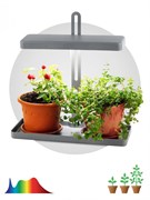 ЭРА FITO-20W-QLED-G Настольный светильник полного спектра Б0039035 ЭРА FITO-20W-QLED-G Настольный светильник полного спектра Б0039035