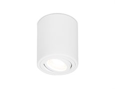 Ambrella Накладной поворотный точечный светильник TN225 WH белый GU5.3 D80*100 TN225