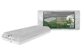 TDM Светильник вандалоустойчивый LED ДБО 01-12-003 (с датчиком движения) 12 Вт, 1000 лм, 4000 К, IP54 SQ0353-0203
