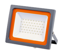 Jazzway Прожектор PFL-SC-30W 6500K IP65 (матовое стекло)
