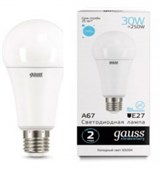 Лампа Gauss LED Elementary A67 30W E27 6500K 1/10/50