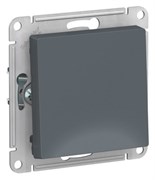 Выключатель одноклавишный ATN000711 Schneider Electric