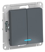 Выключатель двухклавишный с подсветкой ATN000753 Schneider Electric