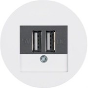 usb зарядка | розетка 260205 | 10382089 Berker