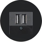 usb зарядка | розетка 260205 | 10382045 Berker