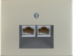 Розетка компьютерная двойная EPUAE8-8UPOK6 | 14097004 Berker