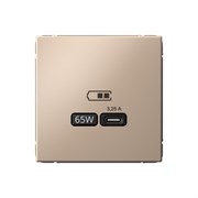 ArtGallery Песочный USB Розетка тип-С 65Вт высокоскоростная зарядка QC, PD, механизм GAL001227 ArtGallery Песочный USB Розетка тип-С 65Вт высокоскоростная зарядка QC, PD, механизм GAL001227