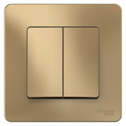 Blanca внутренняя титан выключатель 2-клавишный, 10А, 250B BLNVS010504