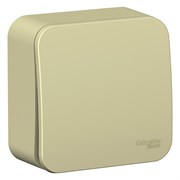 Blanca наружняя бежевый переключатель 1-клавишный (cх.6) изолированная пластина 10А, 250B BLNVA106017 Blanca наружняя бежевый переключатель 1-клавишный (cх.6) изолированная пластина 10А, 250B BLNVA106017