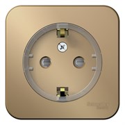 Blanca наружняя титан розетка с заземлением, со шторками, (компакт) 16А, 250В изолированная пластина BLNRA111114