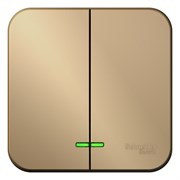 Blanca наружняя титан выключатель 2-клавишный , 10А, 250B BLNVA105004