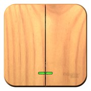 Blanca наружняя ясень выключатель 2-клавишный с подсветкой 10А,250B, изолированная пластина BLNVA105115