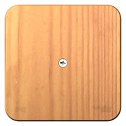 Blanca наружняя ясень коробка распределительная BLNRK000015