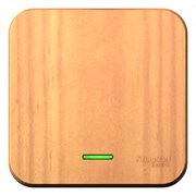 Blanca наружняя ясень выключатель 1-клавишный с подсветкой, 10А, 250B BLNVA101105