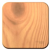 Blanca наружняя ясень выключатель 1-клавишный, 10А, 250B BLNVA101005