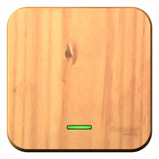 Blanca наружняя ясень выключатель 1-клавишный с подсветкой 10А,250B, изолированная пластина BLNVA101115