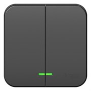 Blanca наружняя антрацит выключатель 2-клавишный с подсветкой 10А,250B, изолированная пластина BLNVA105116 Blanca наружняя антрацит выключатель 2-клавишный с подсветкой 10А,250B, изолированная пластина BLNVA105116