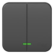 Blanca наружняя антрацит выключатель 2-клавишный с подсветкой, 10А, 250B BLNVA105106 Blanca наружняя антрацит выключатель 2-клавишный с подсветкой, 10А, 250B BLNVA105106