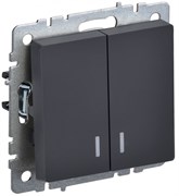 IEK Brite Base графит выключатель 2- клавишный с индикацией 10А BR-V20-1-10-K53 IEK Brite Base графит выключатель 2- клавишный с индикацией 10А BR-V20-1-10-K53