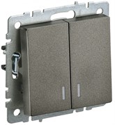 IEK Brite Base тёмная бронза выключатель 2- клавишный с индикацией 10А BR-V20-1-10-K45 IEK Brite Base тёмная бронза выключатель 2- клавишный с индикацией 10А BR-V20-1-10-K45