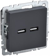 IEK Brite Base графит розетка USB A+A 3,1А BR-U21-D31-K53 IEK Brite Base графит розетка USB A+A 3,1А BR-U21-D31-K53