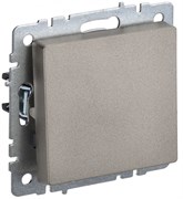 IEK Brite Base шампань выключатель 1-клавишный 10А BR-V10-0-10-K37 IEK Brite Base шампань выключатель 1-клавишный 10А BR-V10-0-10-K37