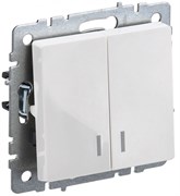 IEK Brite Base белый выключатель 2- клавишный с индикацией 10А BR-V20-1-10-K01 IEK Brite Base белый выключатель 2- клавишный с индикацией 10А BR-V20-1-10-K01