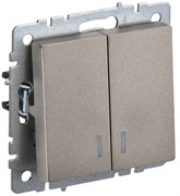 IEK Brite Base шампань выключатель 2-клавишный с индикацией 10А BR-V20-1-10-K37 IEK Brite Base шампань выключатель 2-клавишный с индикацией 10А BR-V20-1-10-K37