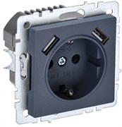 IEK Brite Base маренго розетка с заземлением и шторками, 16А с USB A+A 2,1А BR-R14-16-U21-D21-K35 IEK Brite Base маренго розетка с заземлением и шторками, 16А с USB A+A 2,1А BR-R14-16-U21-D21-K35