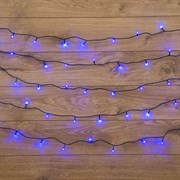NEON-NIGHT Гирлянда "Твинкл Лайт" 4 м, темно-зеленый ПВХ, 25 LED, цвет: Синий 303-013