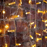 Гирлянда светодиодная Занавес 2x1,5м 192 LED ТЕПЛЫЙ БЕЛЫЙ прозрачный ПВХ IP65 эффект мерцания 230В соединяется NEON-NIGHT шнур в комплекте 235-316-6 Гирлянда светодиодная Занавес 2x1,5м 192 LED ТЕПЛЫЙ БЕЛЫЙ прозрачный ПВХ IP65 эффект мерцания 230В соединяется NEON-NIGHT шнур в комплекте 235-316-6
