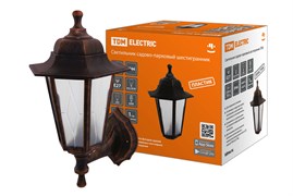 TDM Светильник садово-парковый НБУ 06-60-001 шестигр., настенный, пластик, расс.пластик, медь SQ0330-0781