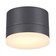 Novotech 358084 NT19 152 темно-серый Ландшафтный светильник IP54 LED 3000К 12W 220V KAIMAS 358084