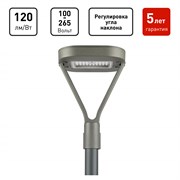 Светильник светодиодный садово-парковый ЭРА SPP-505-0-50K-050 50Вт 6000лм 5000K IP65 КСС Д серый Б0062718