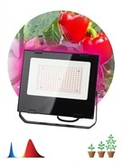 ЭРА FITO-100W-RB-LED Прожектор красно-синего спектра Б0046369