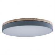 LOFT IT 10001/36 Grey Светильник потолочный Axel, шт 10001/36 Grey
