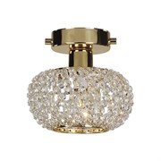 Favourite Sternchen Золото/Прозрачный Светильник потолочный 1*E14*40W 1390-1U