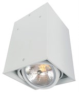 Arte Lamp Cardani Белый Светильник потолочный 1x50W 1xG5,3 1x500lm A5936PL-1WH