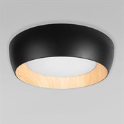 LOFT IT 10255/500 Black Потолочный светильник Folk, шт 10255/500 Black