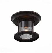 ST LUCE SL080.402.01 Светильник уличный потолочный  Темный кофе/Прозрачный, Темный кофе E27 1*60W SL080.402.01