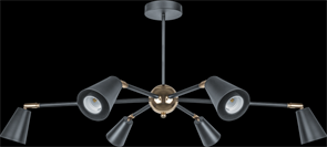 Navigator Светильник 80 439 NLF-C-051-01 потолочный черный золото 80439