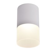 Favourite Потолочный светильник Naram D64*H110 LED*5W, 400LM, 4000K, IP20 3069-1C 3069-1C