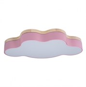 LOFT IT 10005/30 Pink Светильник потолочный Axel, шт 10005/30 Pink