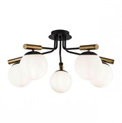 Freya Modern Paolina Черный Потолочный светильник E14 40W FR5011CL-05B